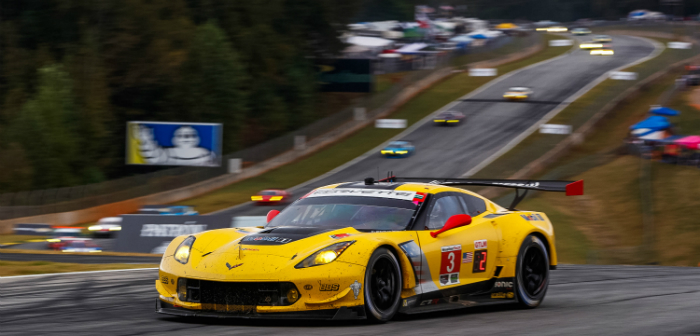 Corvette Racing, IMSA, WeatherTech, endurance racing, 