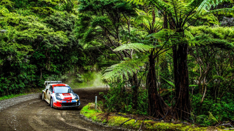 WRC and Rallycross Promoters earn top environmental accreditation from FIA
