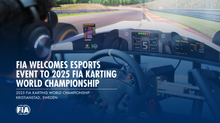 A view from a karting cockpit with FIA logo placed on top of the image